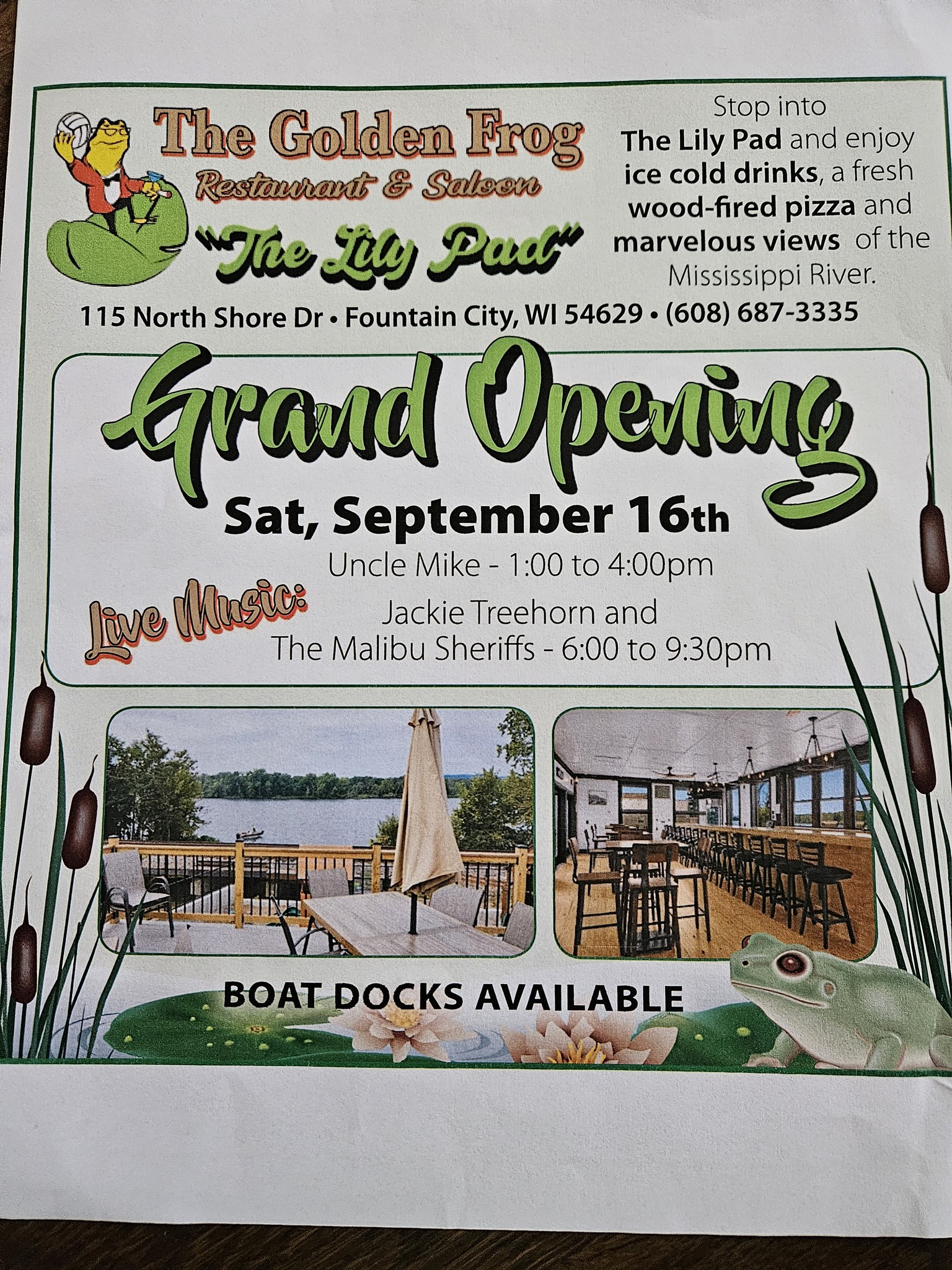 Golden Frog Grand Opening poster